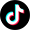 TikTok Logo